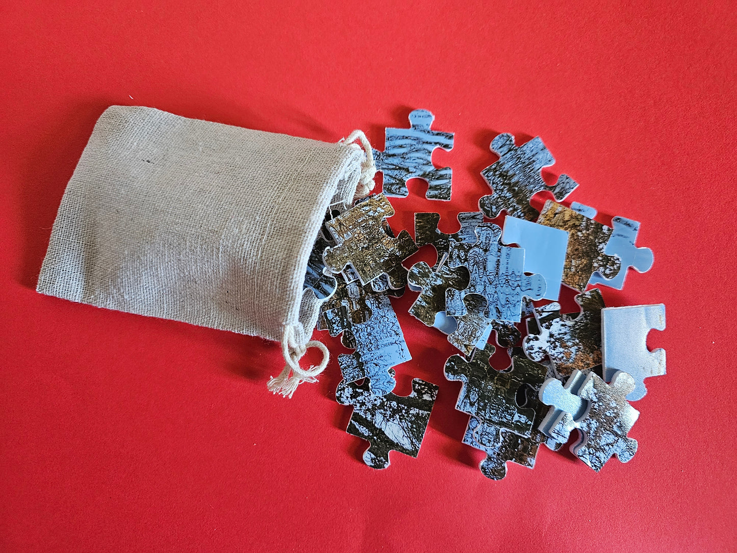 Family Christmas Crackers pack of 6